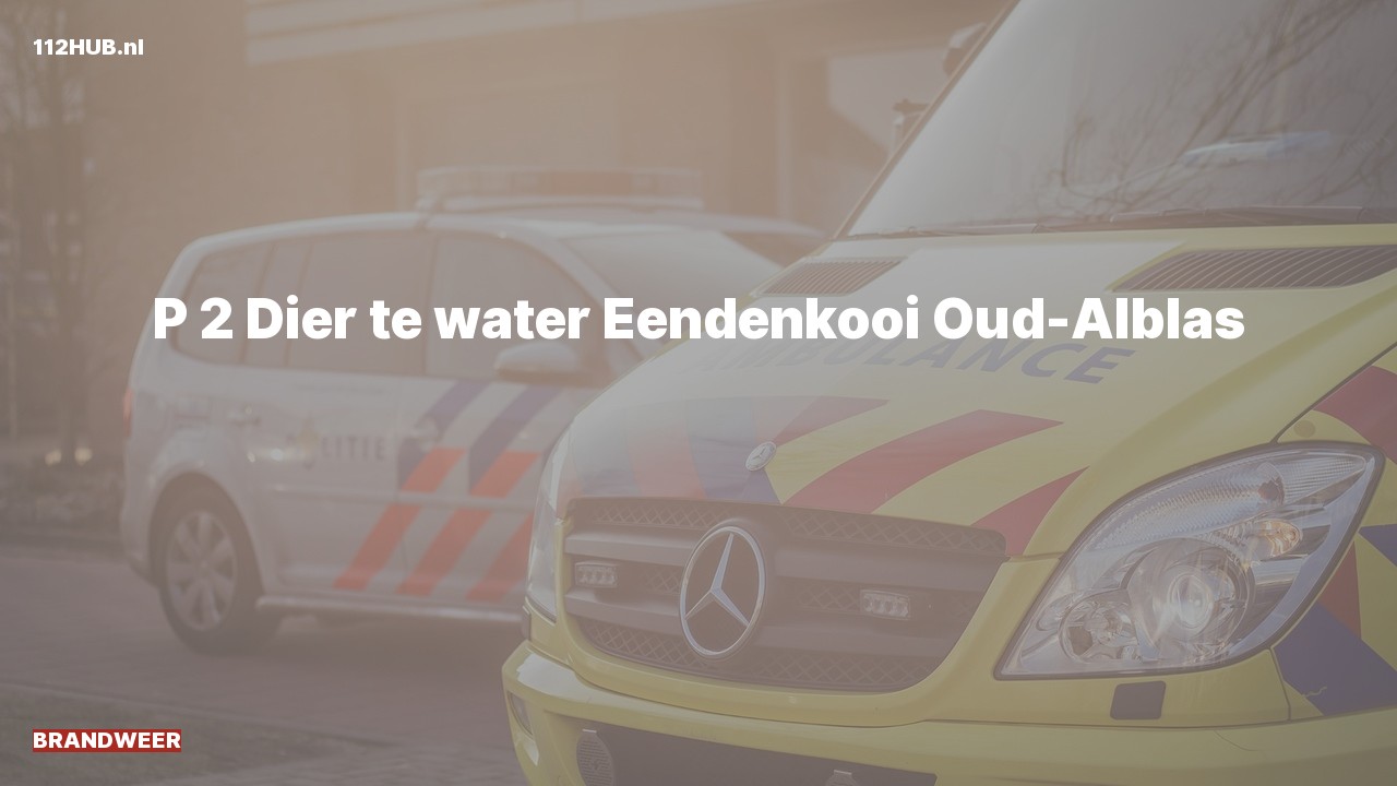 Deelafbeelding voor Brandweer met gepaste spoed.