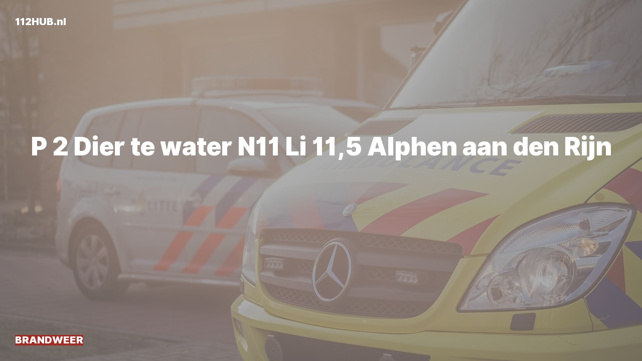 Deelafbeelding voor De brandweer is met gepaste spoed uitgerukt voor een persoon te water op de N11 bij hectometerpaaltje 11.5