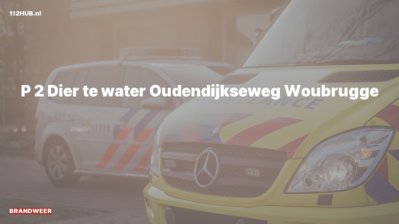 Deelafbeelding voor P2000-melding.