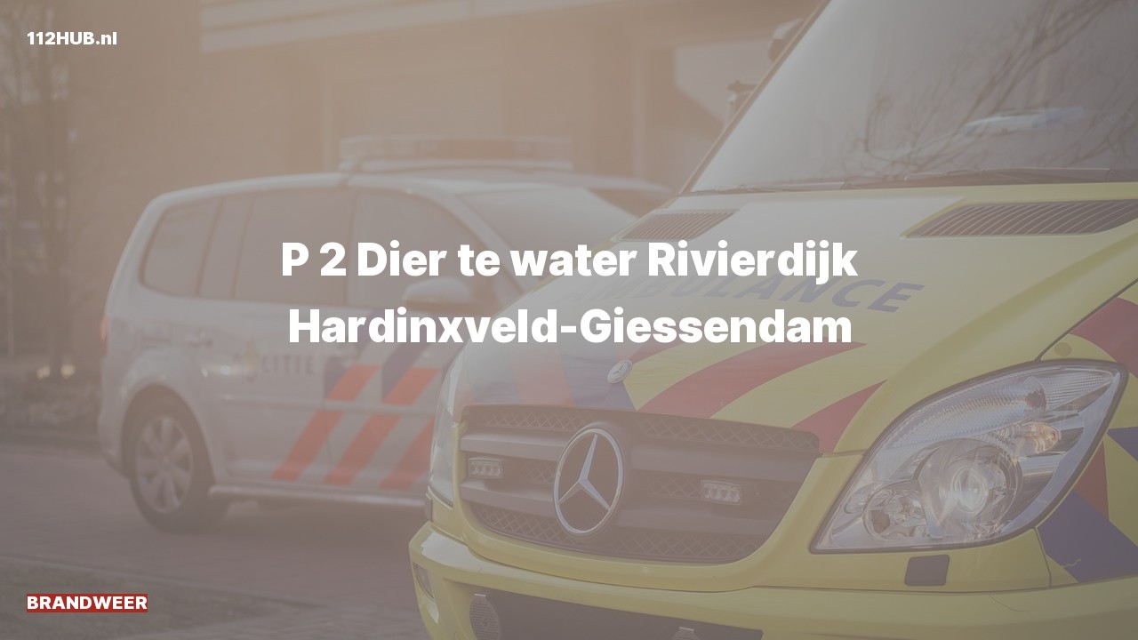 Deelafbeelding voor De brandweer is met gepaste spoed uitgerukt voor een persoon te water naar de Rivierdijk in Hardinxveld-Giessendam