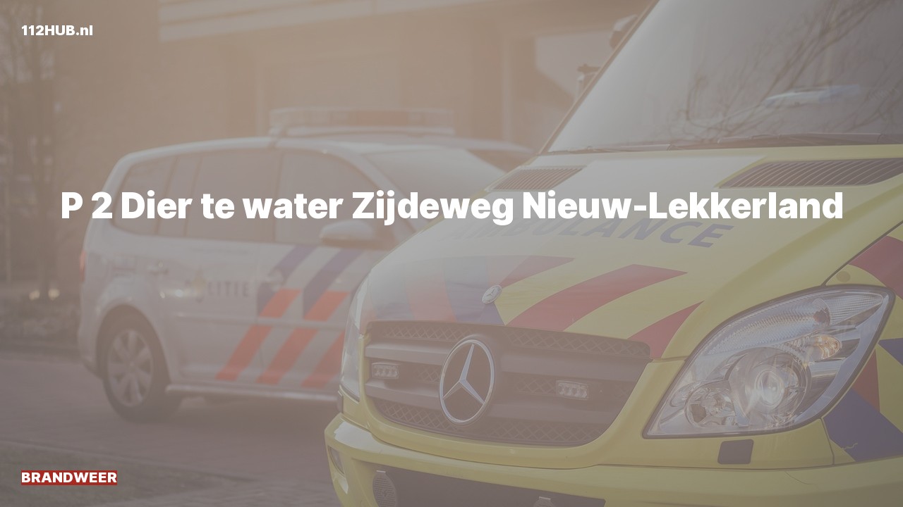 Deelafbeelding voor Brandweer met gepaste spoed naar de Zijdeweg in Nieuw-Lekkerland.