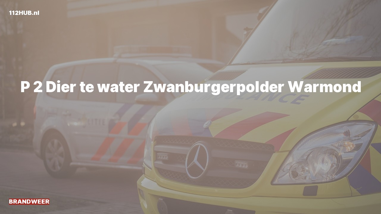 Deelafbeelding voor Brandweer met gepaste spoed naar de Zwanburgerpolder in Warmond.