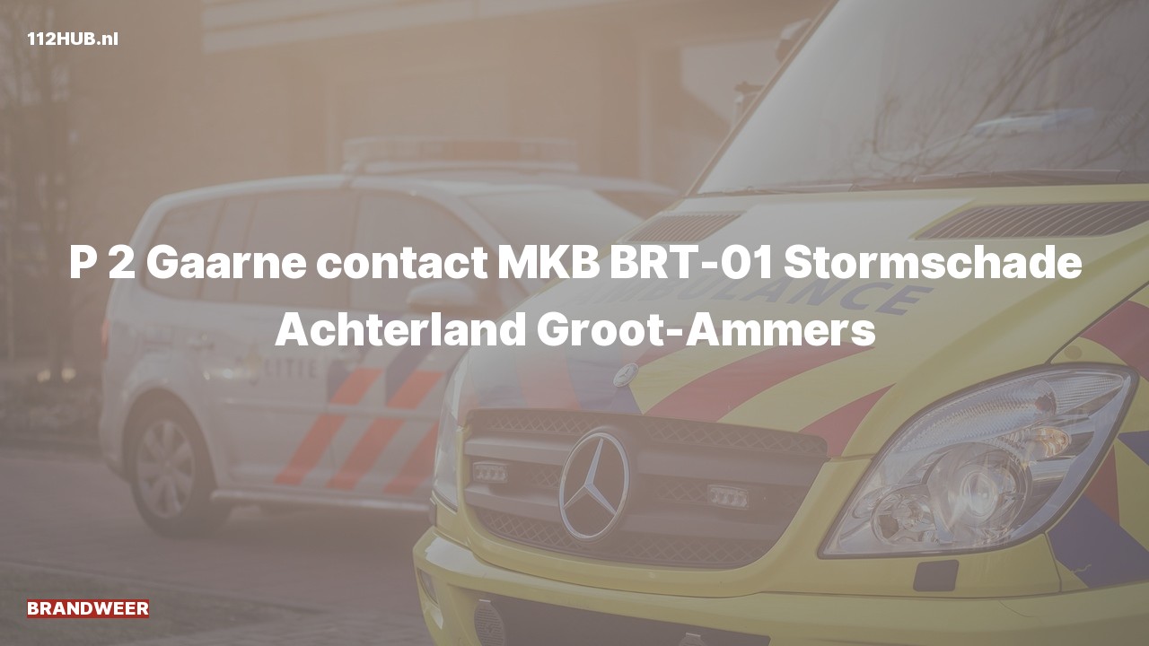 Deelafbeelding voor De brandweer is met gepaste spoed uitgerukt voor contact met de meldkamer