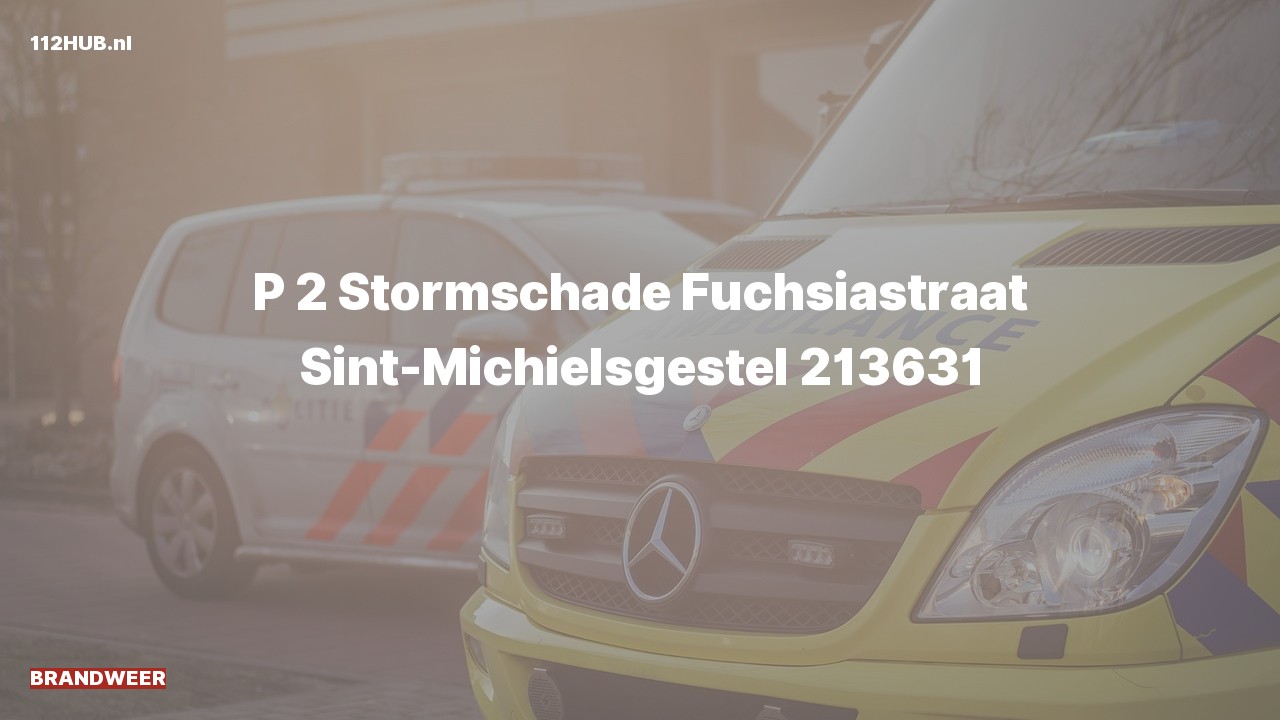 Deelafbeelding voor Brandweer met gepaste spoed naar de Fuchsiastraat in Sint-Michielsgestel.