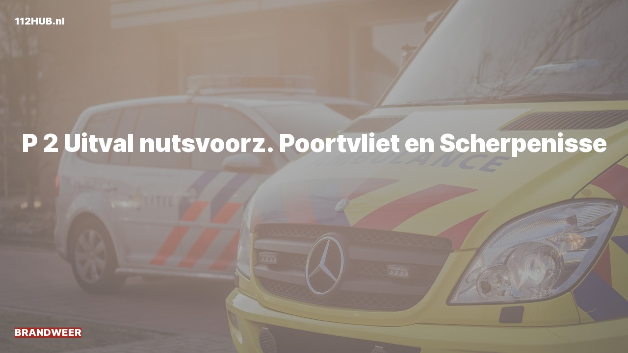 Deelafbeelding voor Brandweer met gepaste spoed.