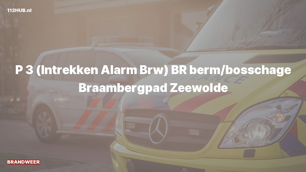 Deelafbeelding voor Brandweer trekt alarm in. Was: BR berm/bosschage Braambergpad Zeewolde.