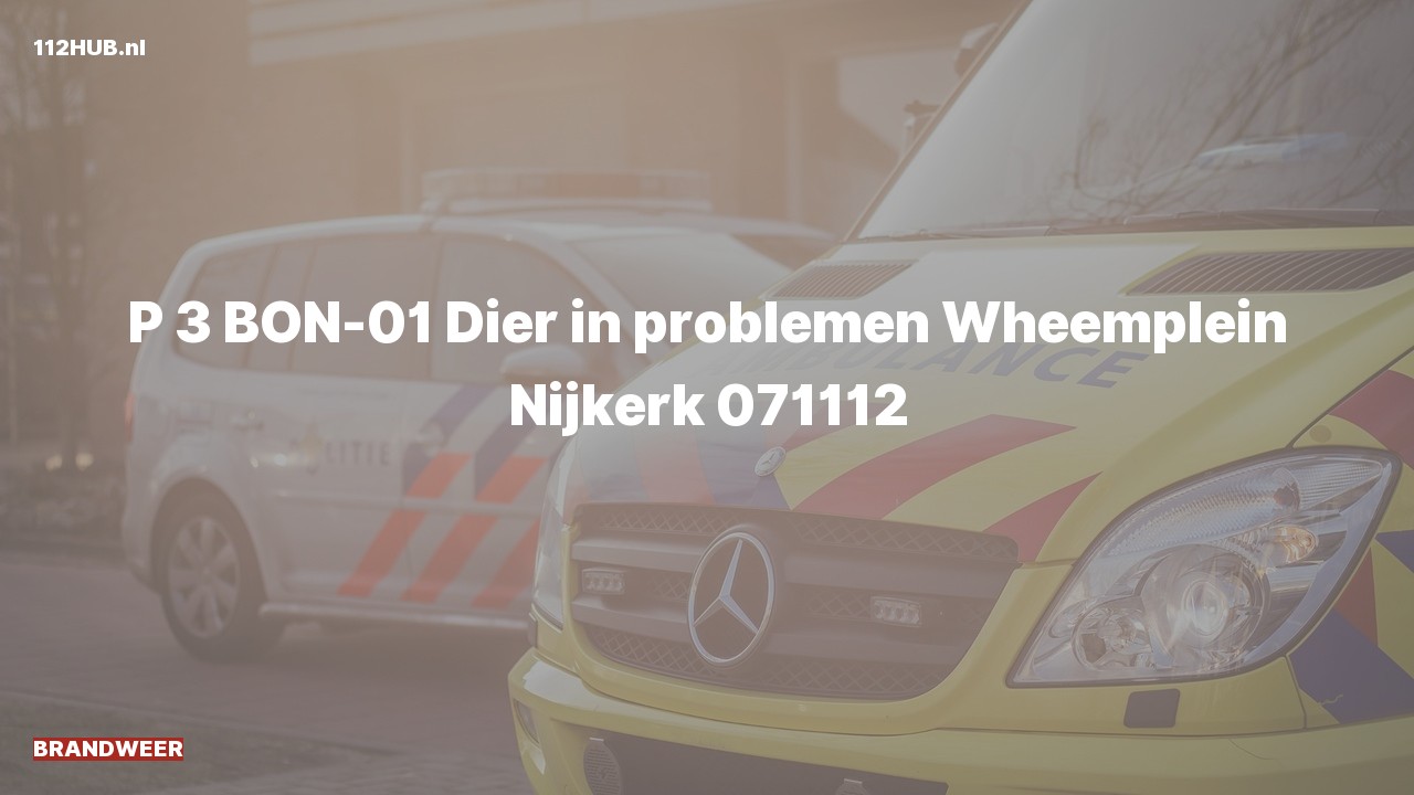 Deelafbeelding voor Brandweer naar de Wheemplein in Nijkerk.