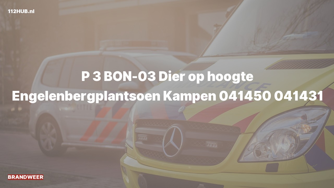 Deelafbeelding voor Brandweer naar de Engelenbergplantsoen in Kampen.