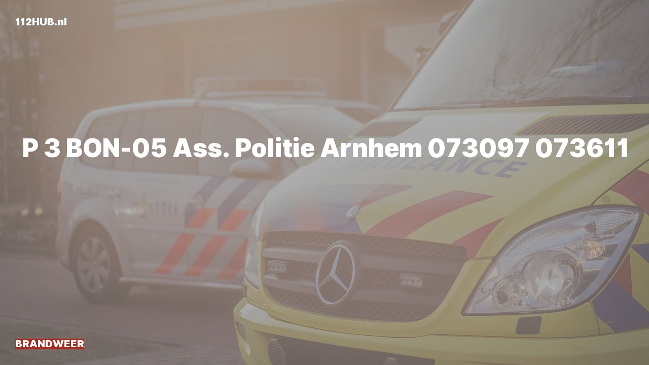 Deelafbeelding voor De brandweer is uitgerukt