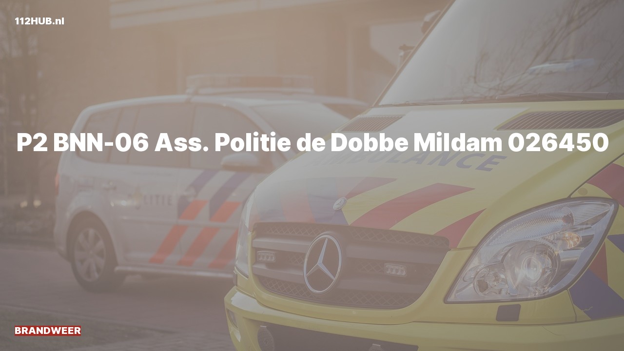 Deelafbeelding voor Brandweer met gepaste spoed naar de de Dobbe in Mildam.