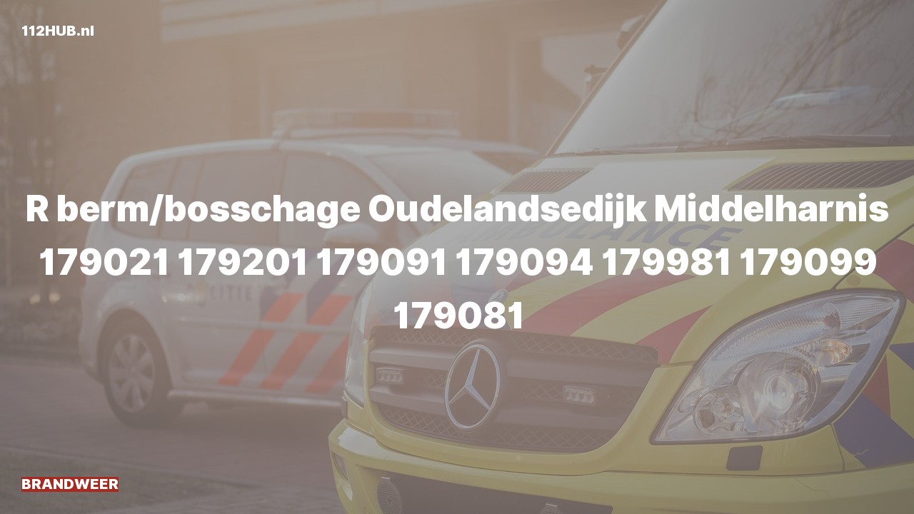 Deelafbeelding voor Brandweer naar de Oudelandsedijk in Middelharnis.