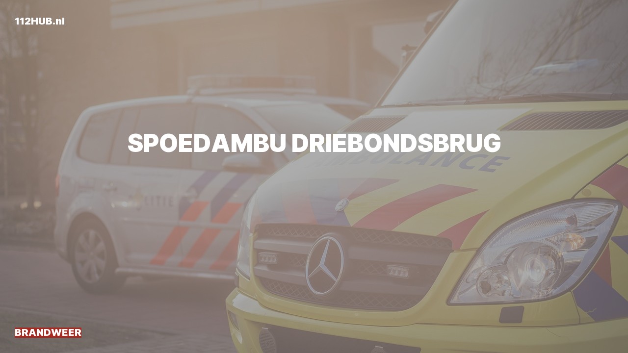 Deelafbeelding voor Brandweer spoed ambulance.