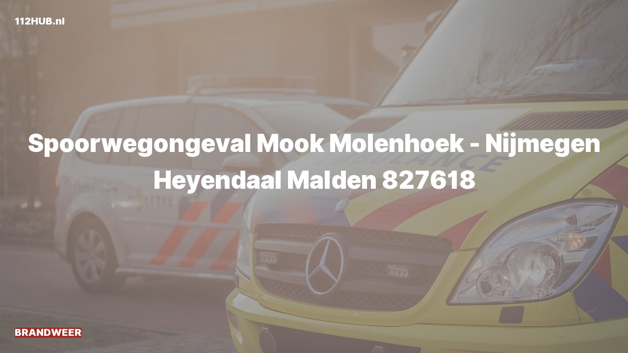 Deelafbeelding voor P2000-melding.