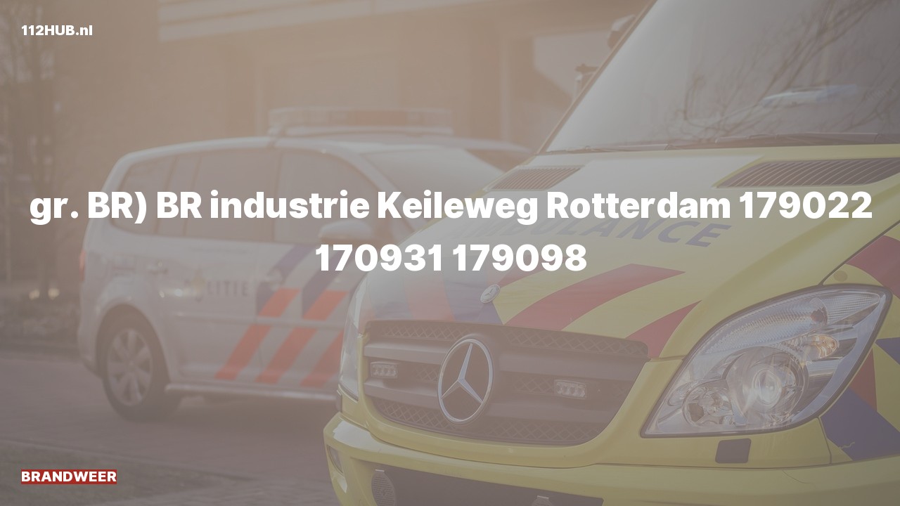 Deelafbeelding voor De brandweer is uitgerukt voor een industriële brand naar de Keileweg in Rotterdam