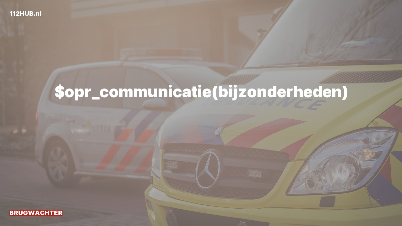 Deelafbeelding voor Brugwachter.