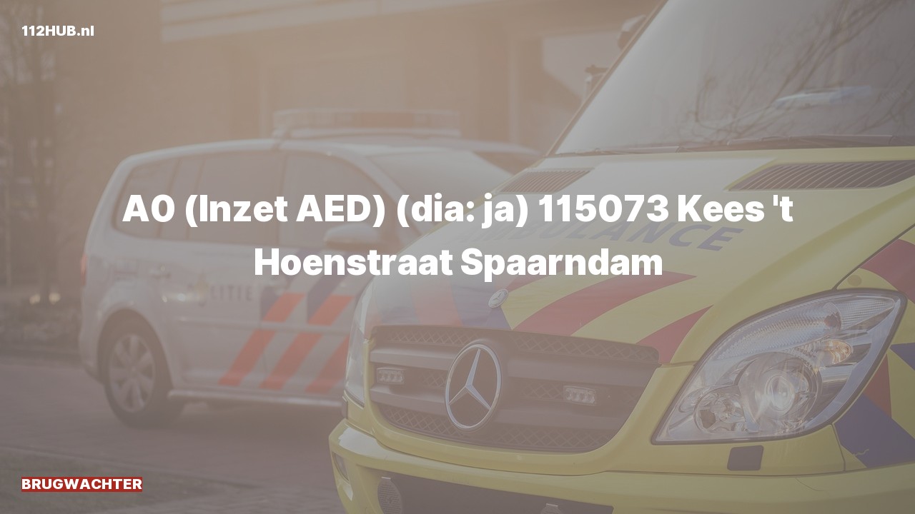 Deelafbeelding voor Brugwachter met spoed naar de Kees 't Hoenstraat in Spaarndam.