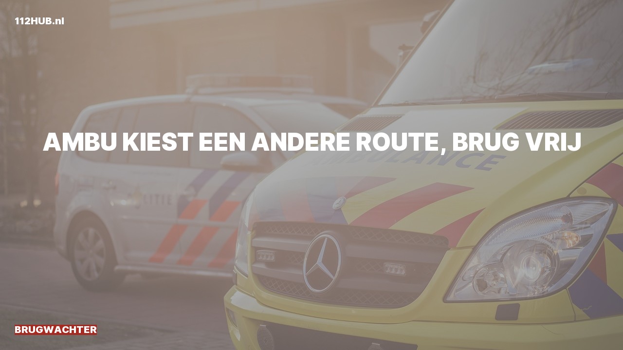 Deelafbeelding voor Brugwachter.