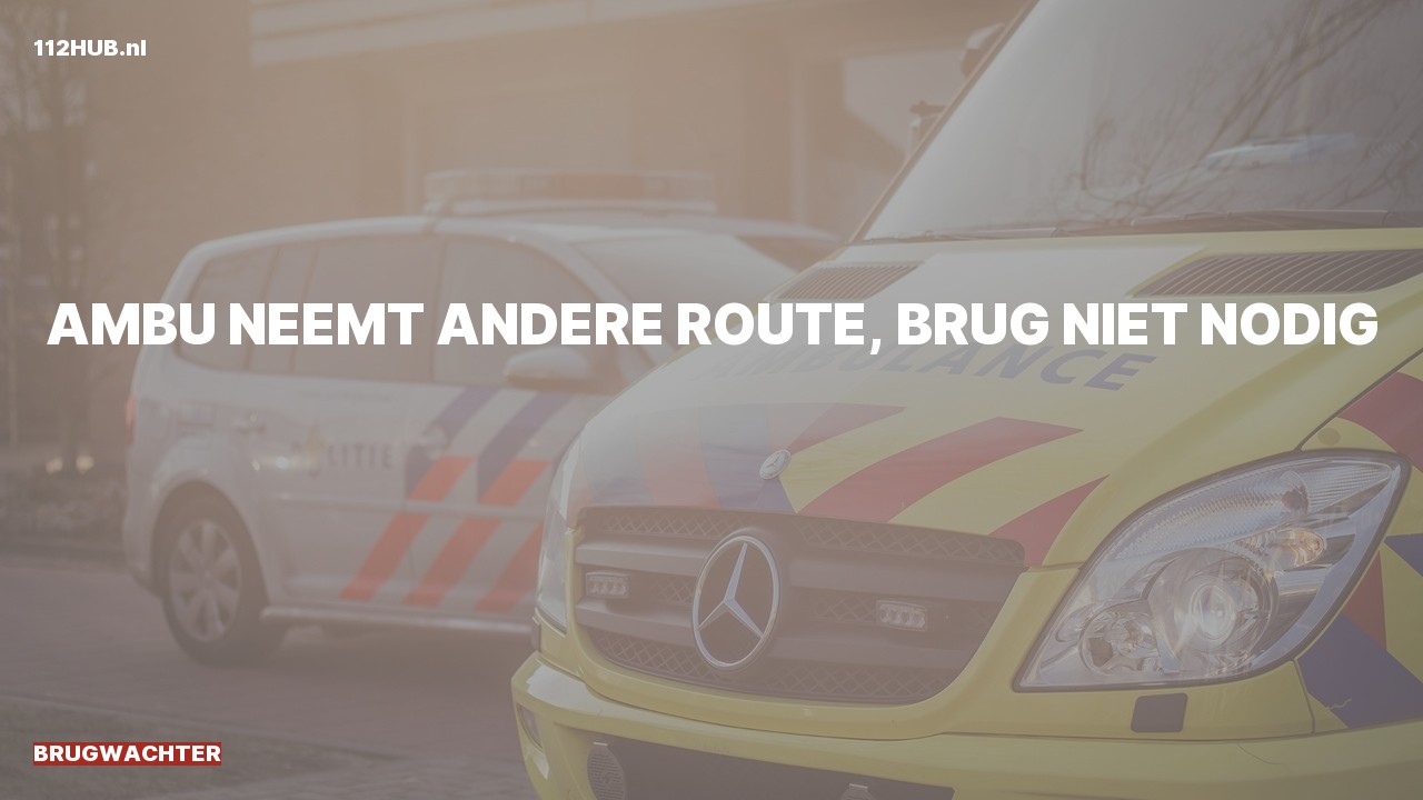Deelafbeelding voor Brugwachter.
