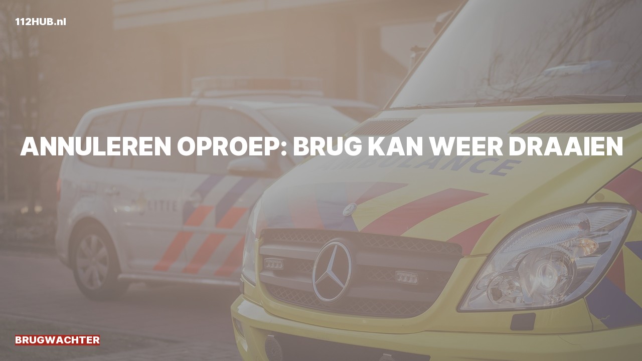 Deelafbeelding voor Brugwachter.