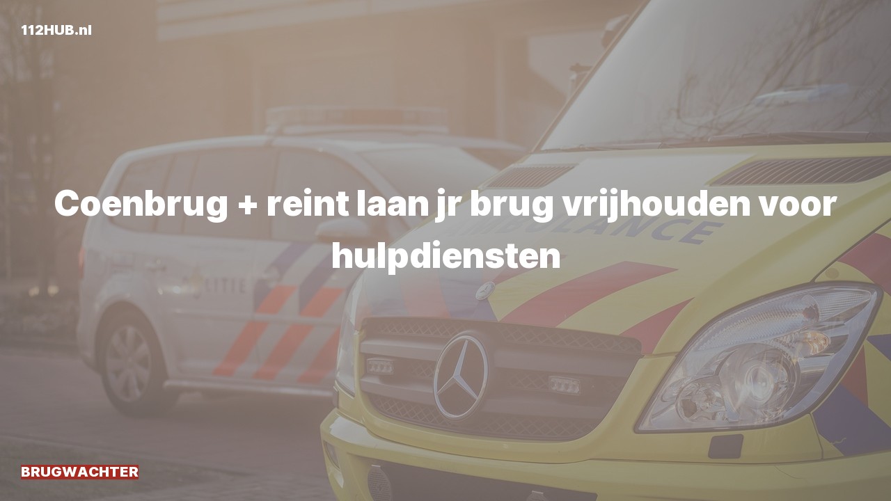 Deelafbeelding voor Brugwachter.