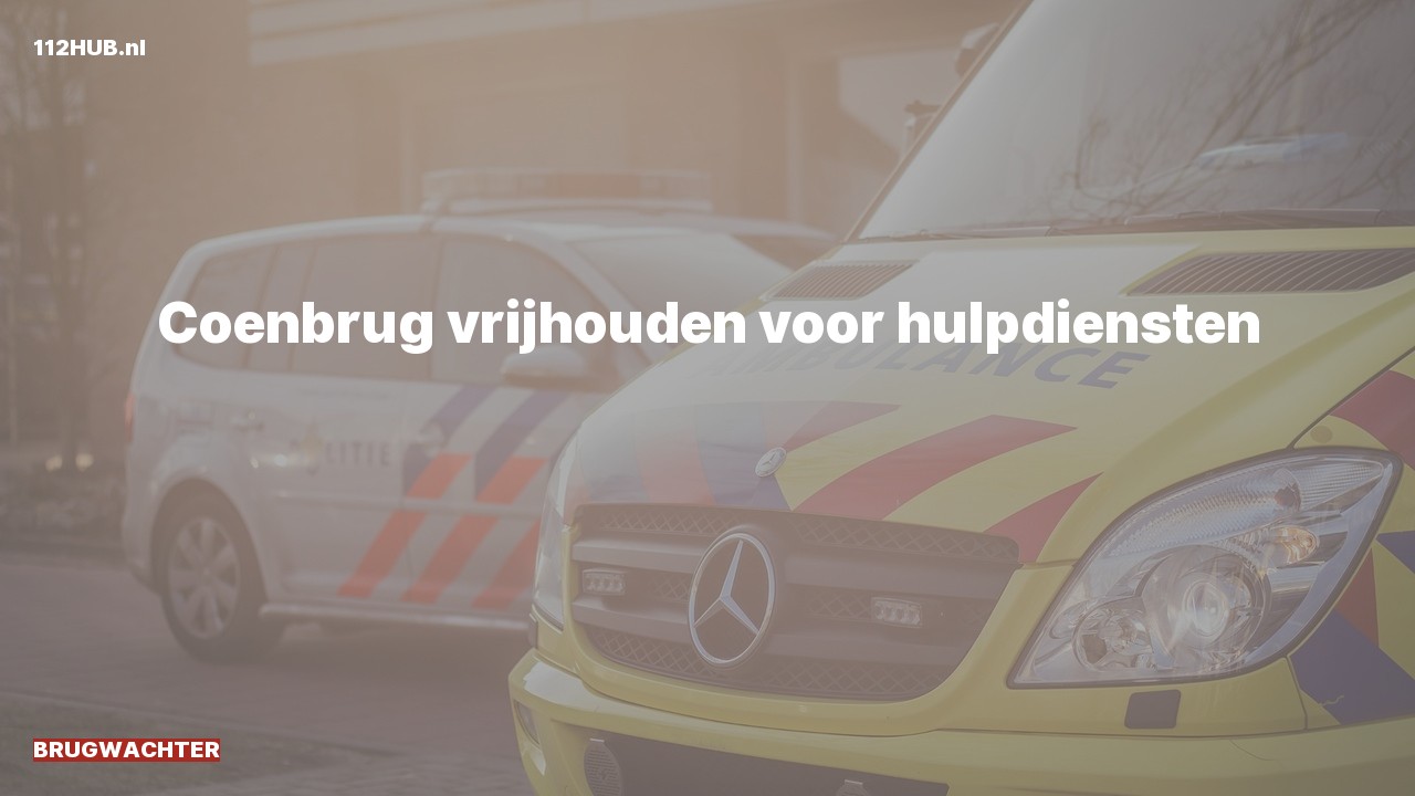 Deelafbeelding voor Brugwachter.