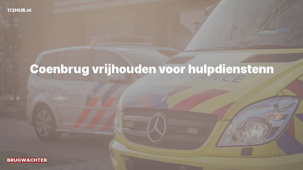 Deelafbeelding voor Brugwachter.