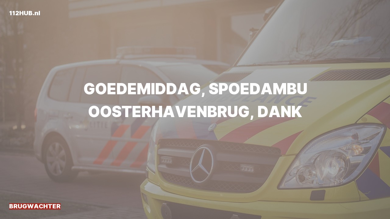Deelafbeelding voor Brugwachter spoed ambulance.