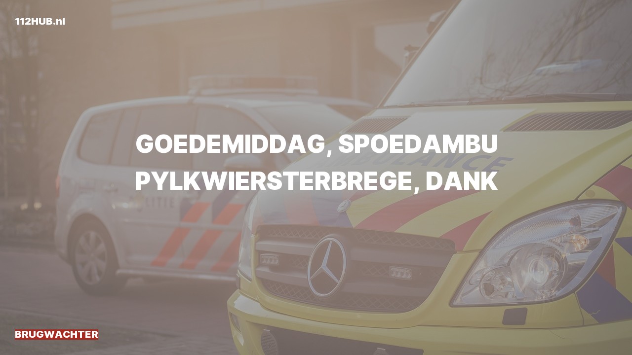 Deelafbeelding voor Brugwachter spoed ambulance.