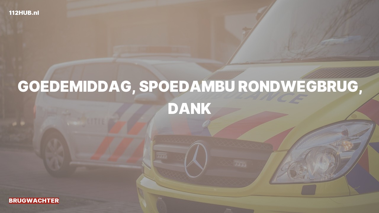 Deelafbeelding voor Brugwachter spoed ambulance.