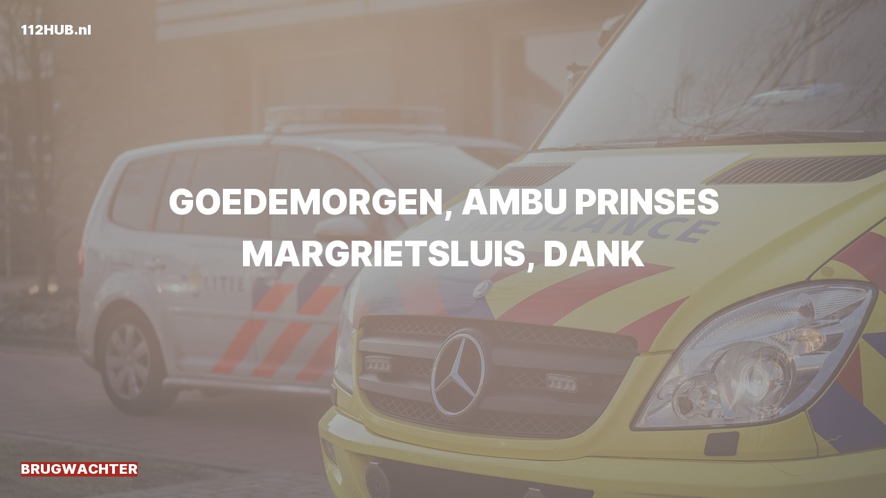 Deelafbeelding voor De brugwachter is uitgerukt