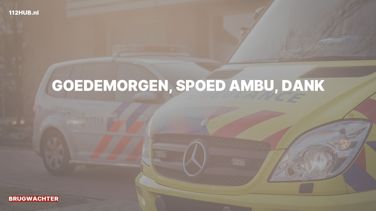 Deelafbeelding voor Brugwachter spoed ambulance.