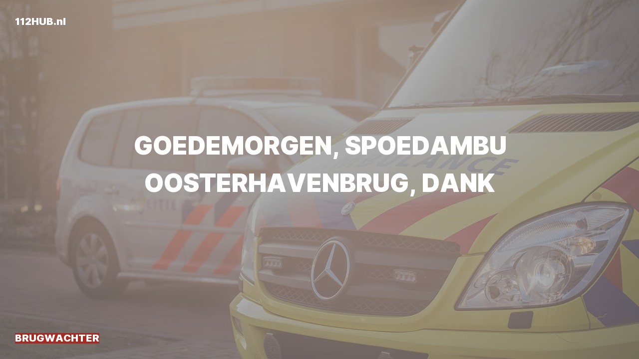 Deelafbeelding voor Brugwachter spoed ambulance.