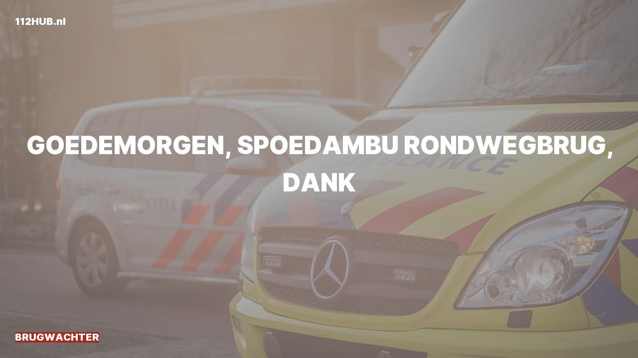 Deelafbeelding voor Brugwachter spoed ambulance.