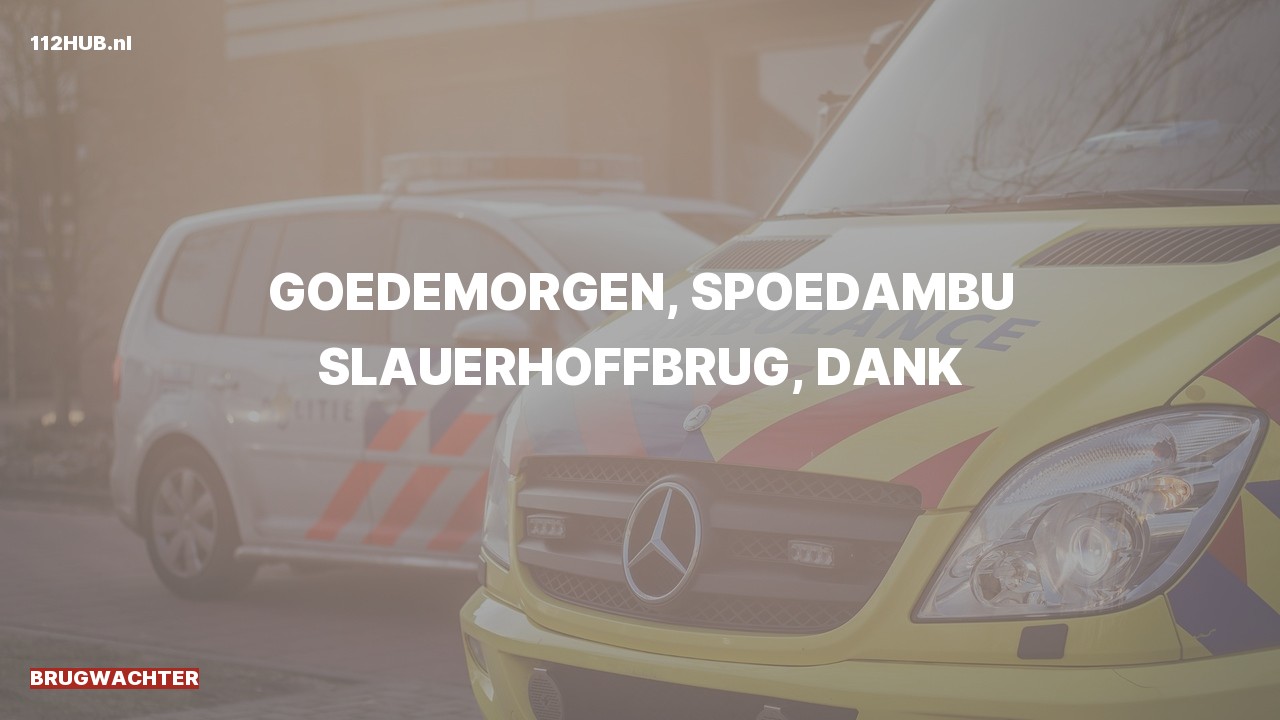 Deelafbeelding voor Brugwachter spoed ambulance.