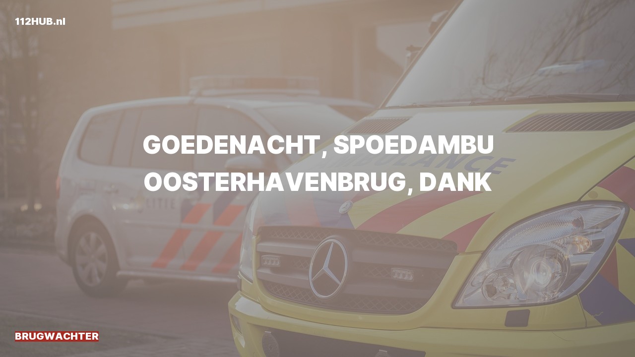 Deelafbeelding voor Brugwachter spoed ambulance.