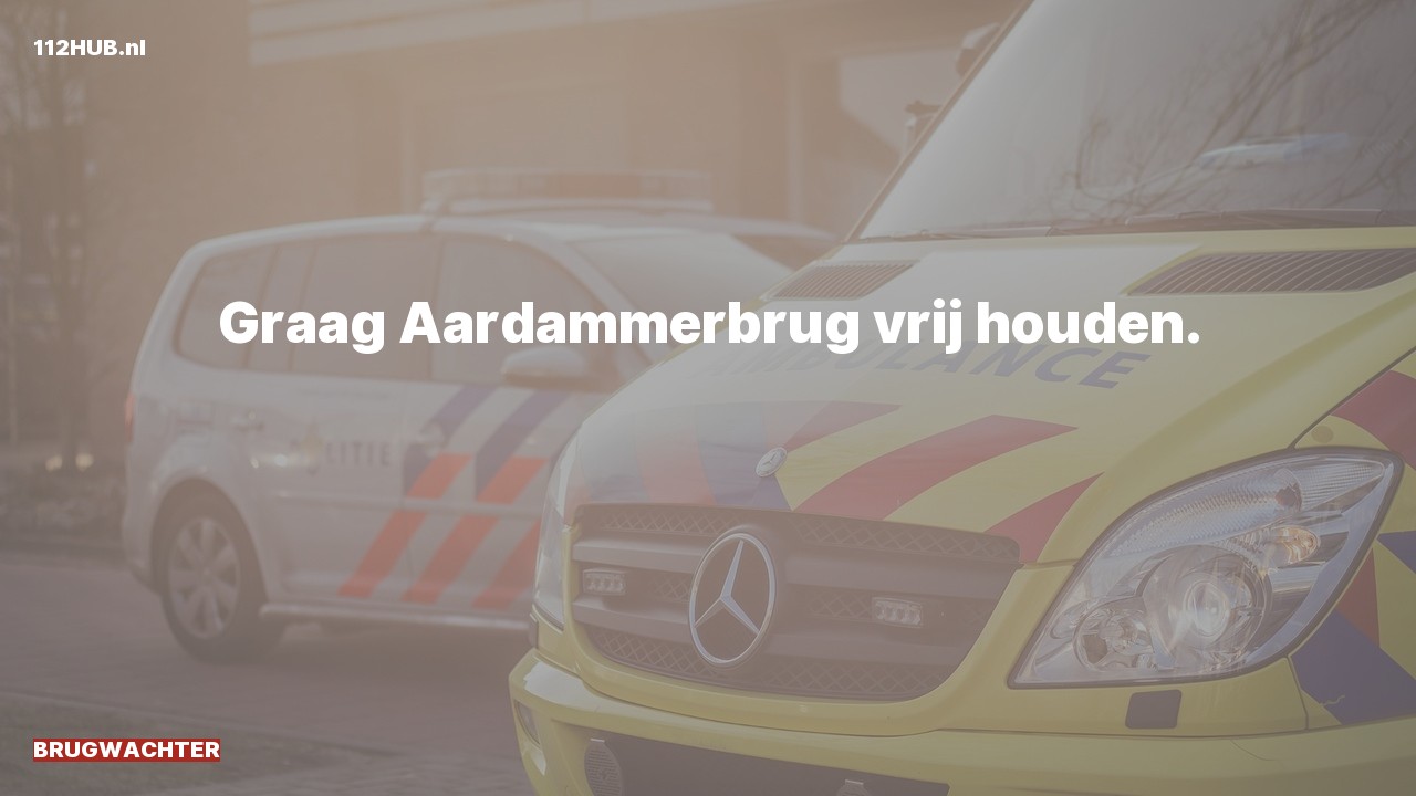 Deelafbeelding voor Brugwachter.