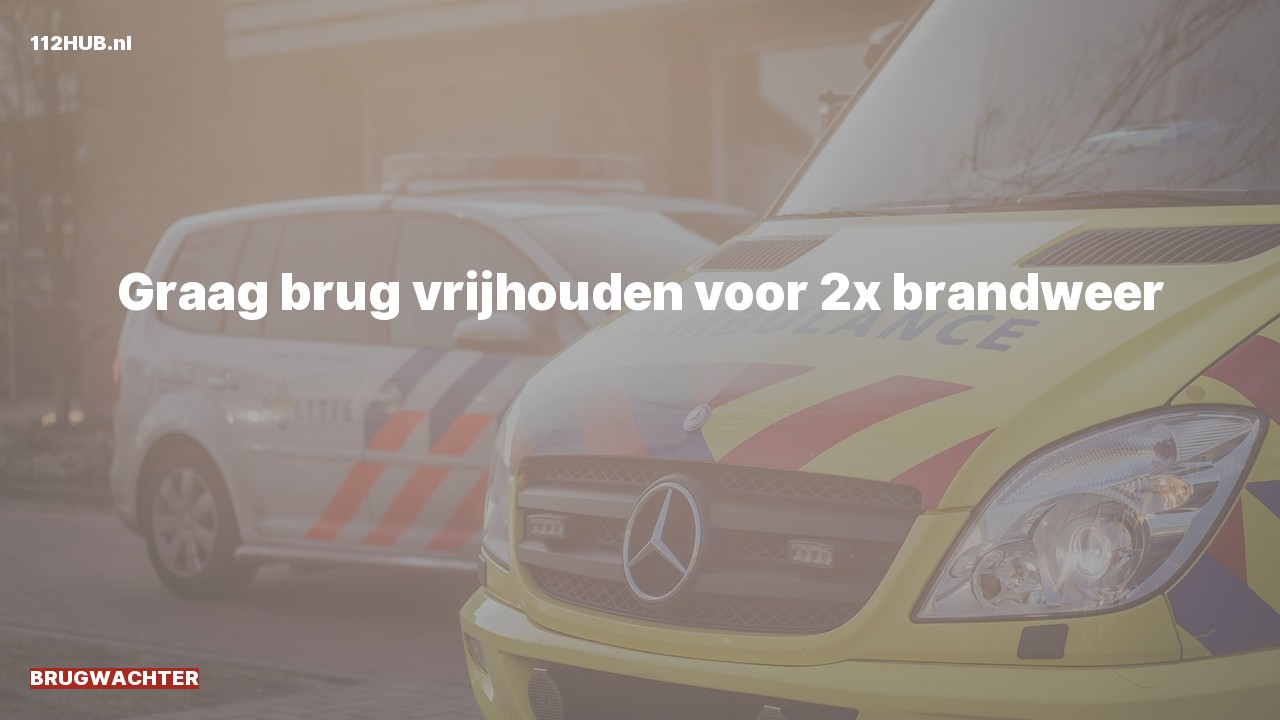 Deelafbeelding voor Brugwachter.