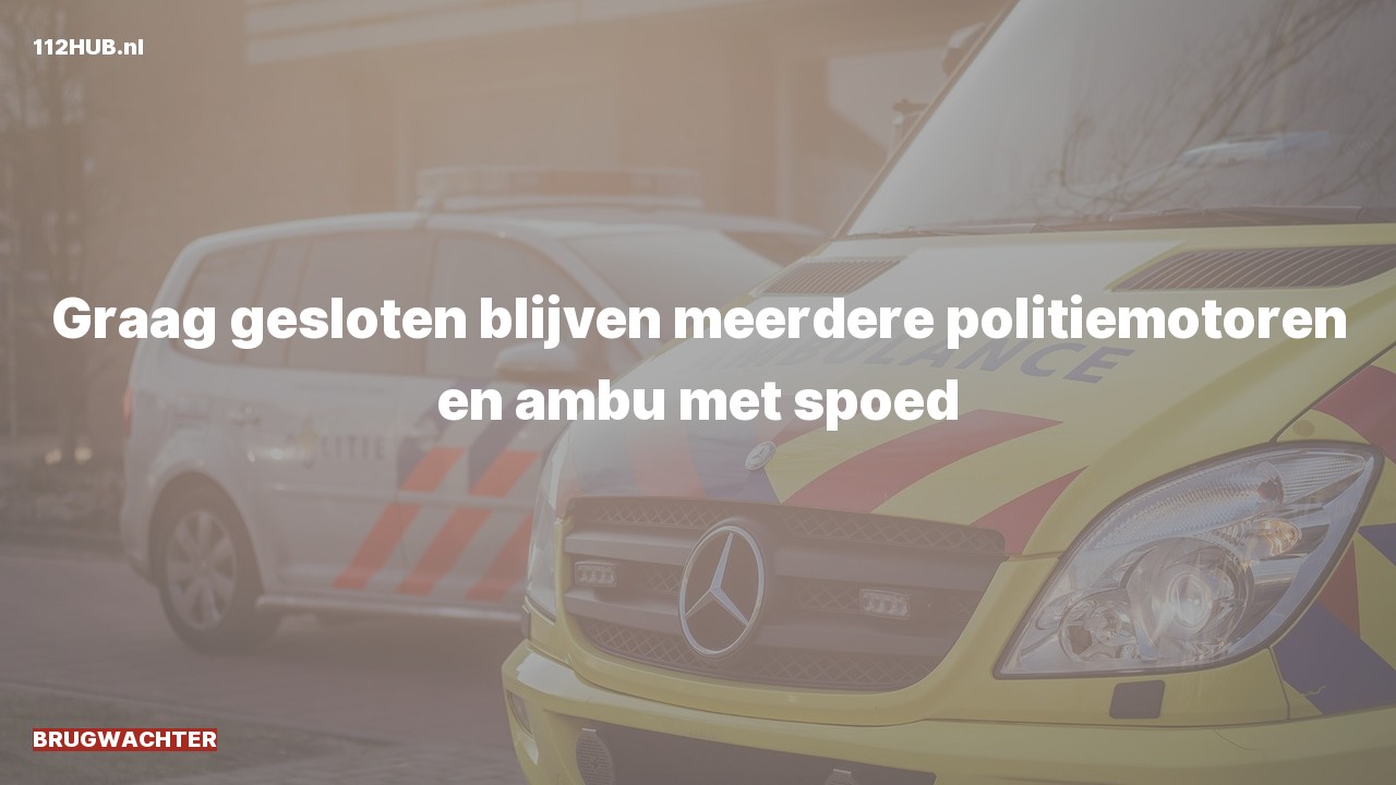 Deelafbeelding voor Brugwachter.