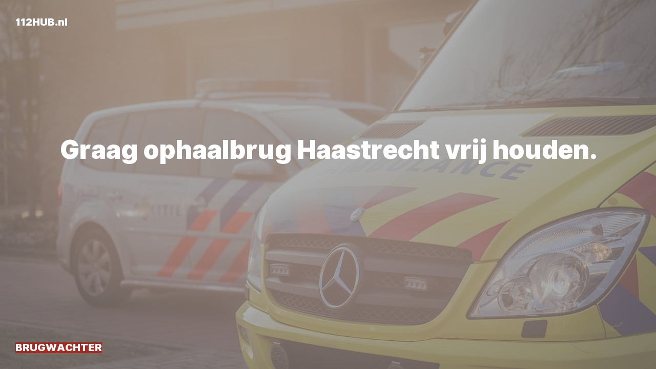 Deelafbeelding voor Brugwachter.