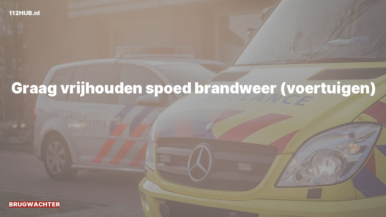 Deelafbeelding voor Brugwachter.