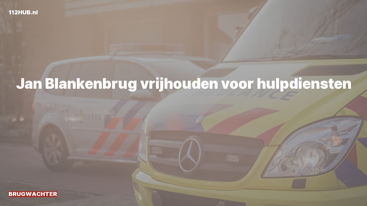 Deelafbeelding voor Brugwachter.