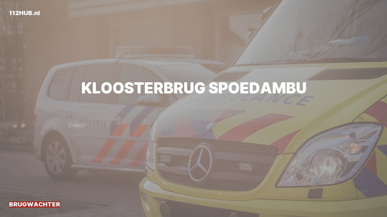 Deelafbeelding voor Brugwachter spoed ambulance.