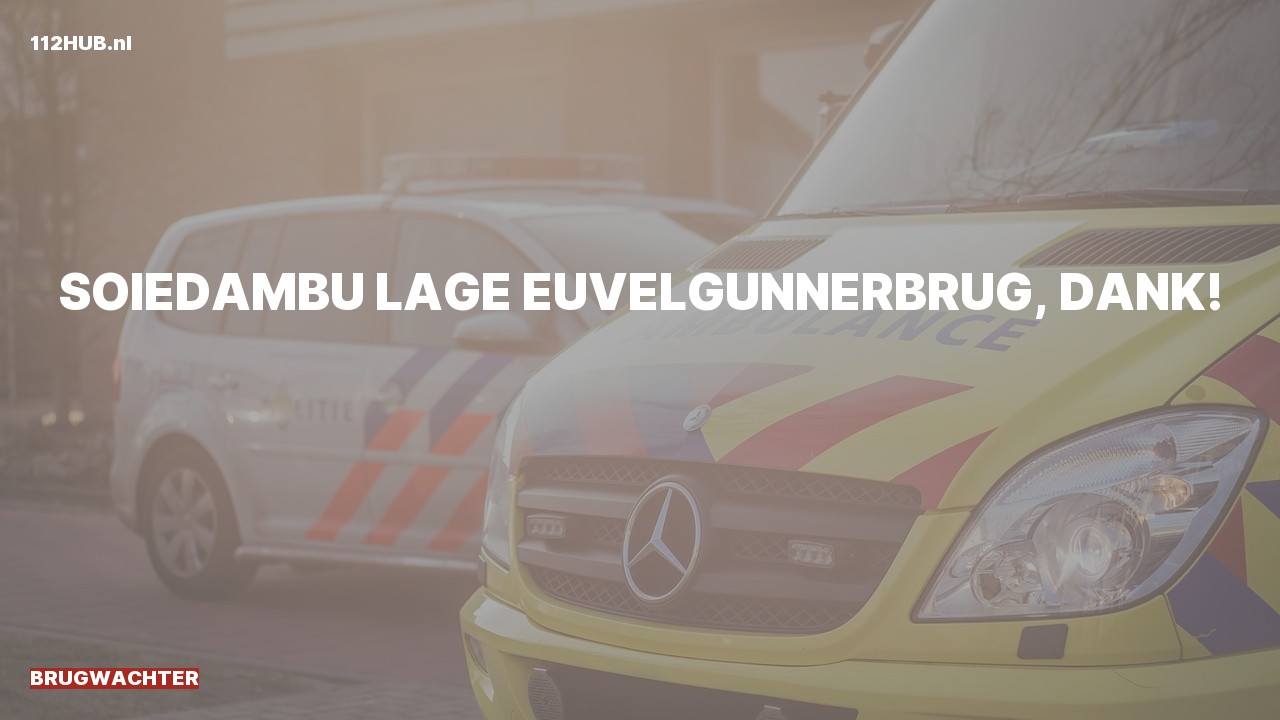Deelafbeelding voor Brugwachter.