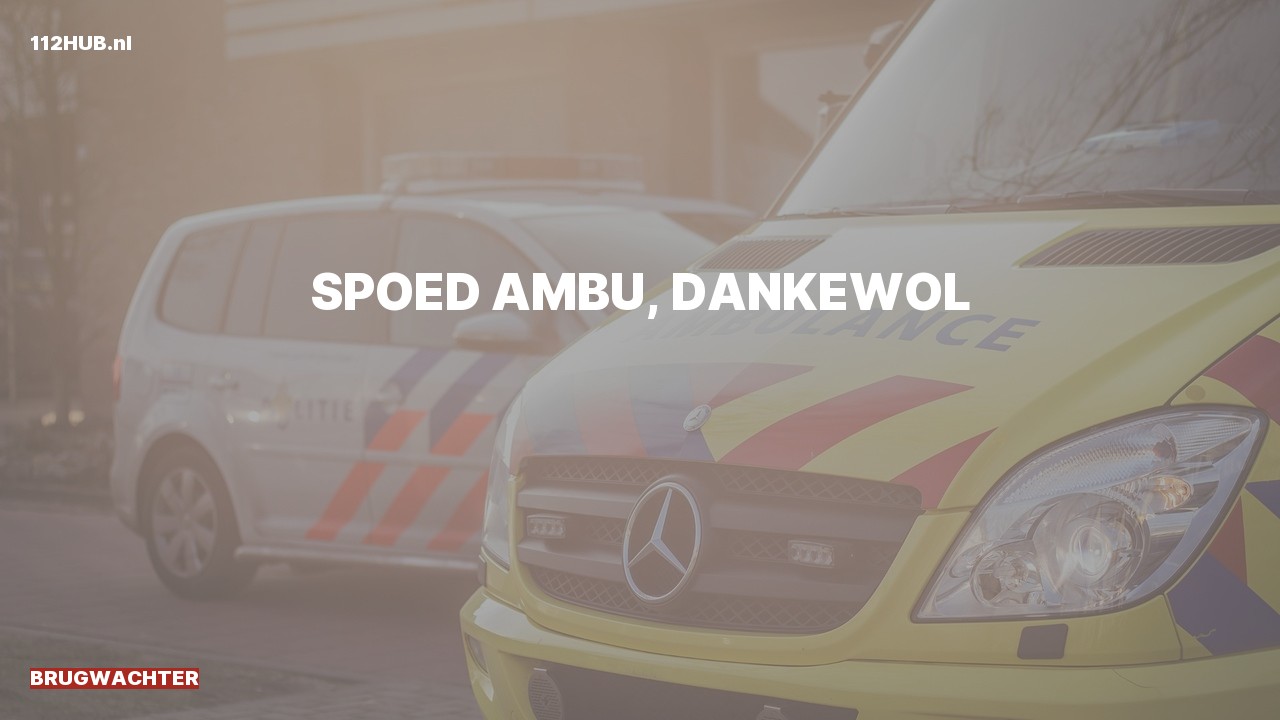 Deelafbeelding voor Brugwachter spoed ambulance.