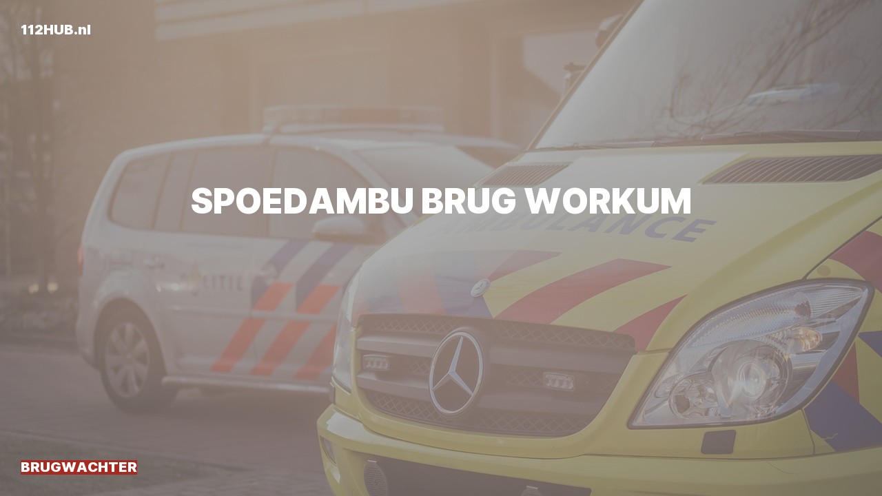 Deelafbeelding voor Brugwachter spoed ambulance.