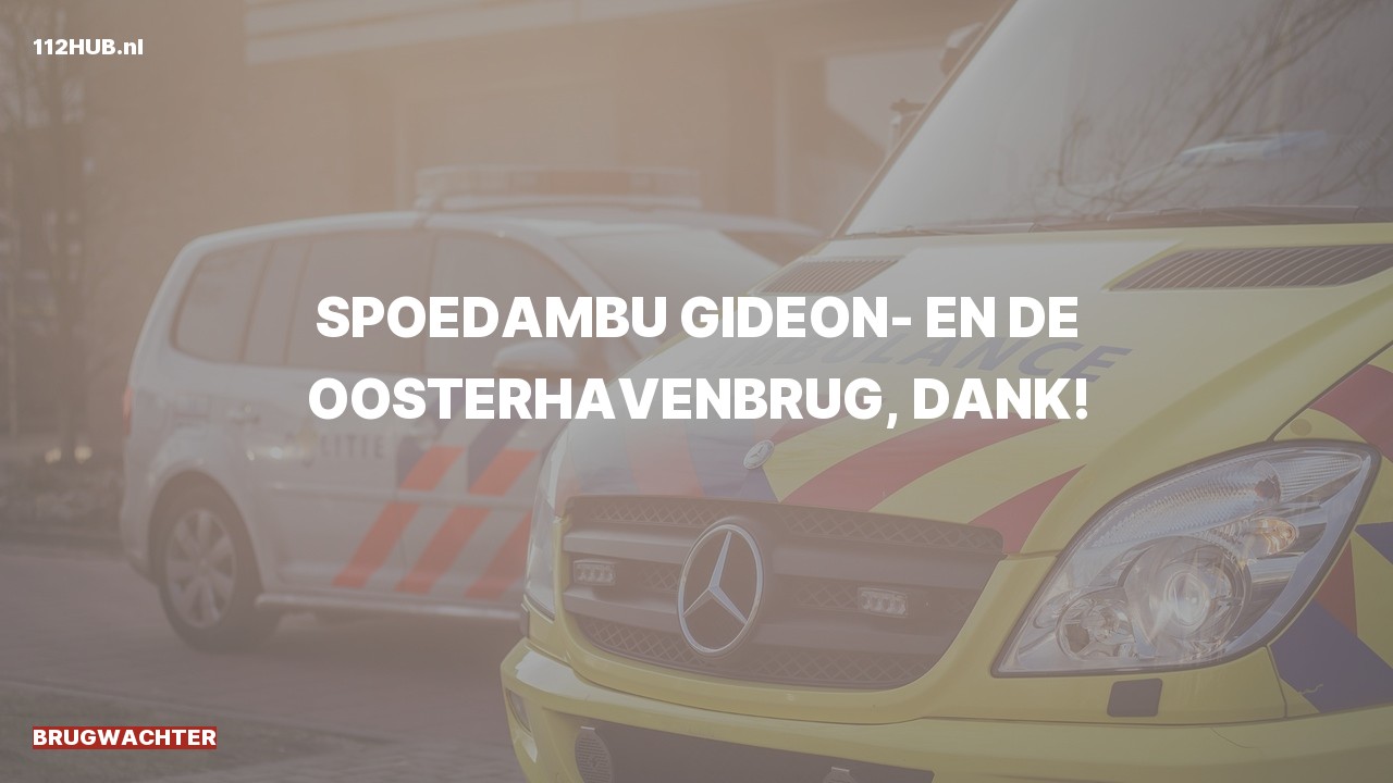 Deelafbeelding voor Brugwachter spoed ambulance.