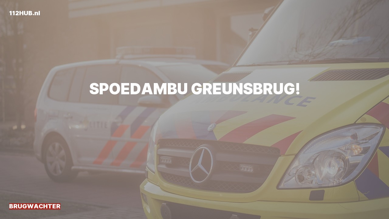 Deelafbeelding voor Brugwachter spoed ambulance.
