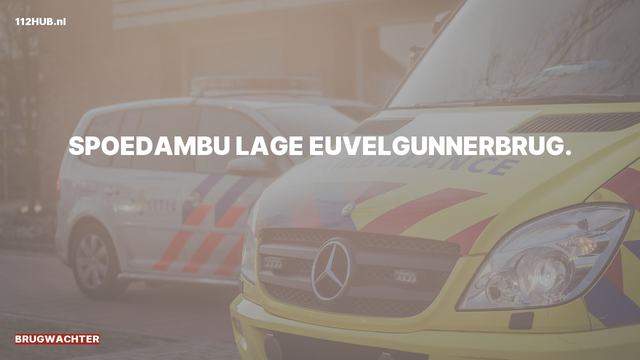 Deelafbeelding voor Brugwachter spoed ambulance.