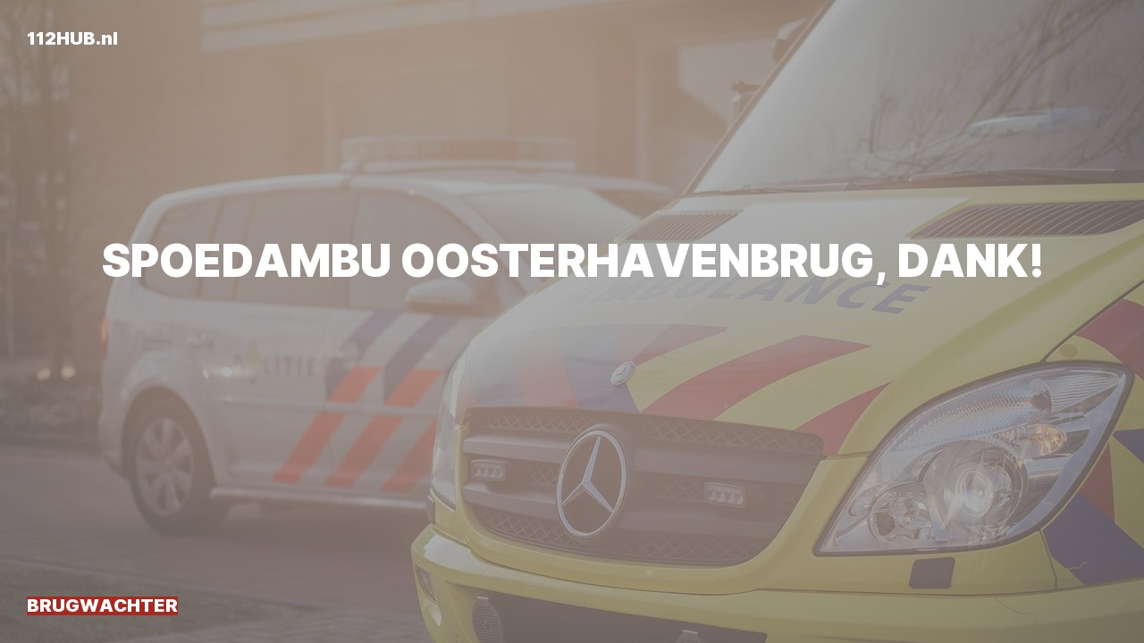 Deelafbeelding voor Brugwachter spoed ambulance.
