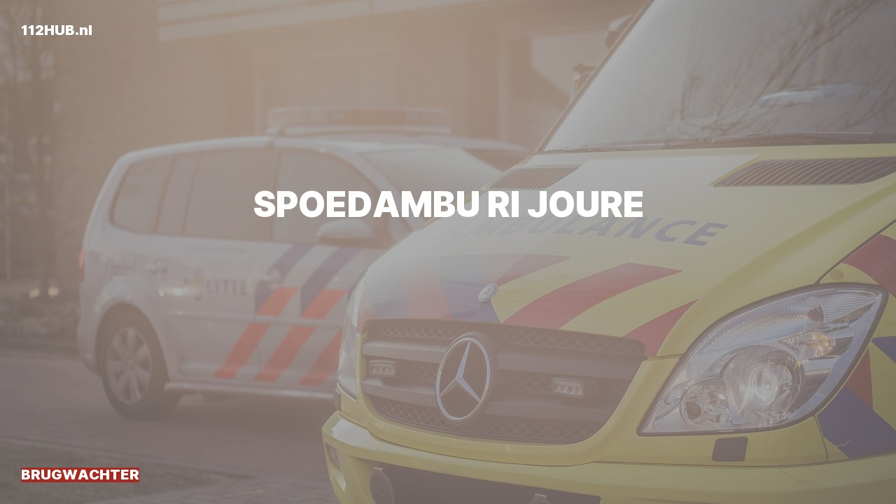 Deelafbeelding voor Brugwachter spoed ambulance.